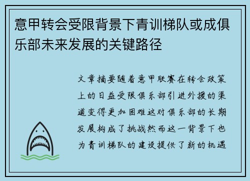 意甲转会受限背景下青训梯队或成俱乐部未来发展的关键路径